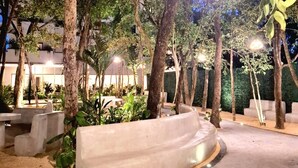 Un espace extérieur agrémenté d’arbres, de bancs et d’un chemin sinueux.