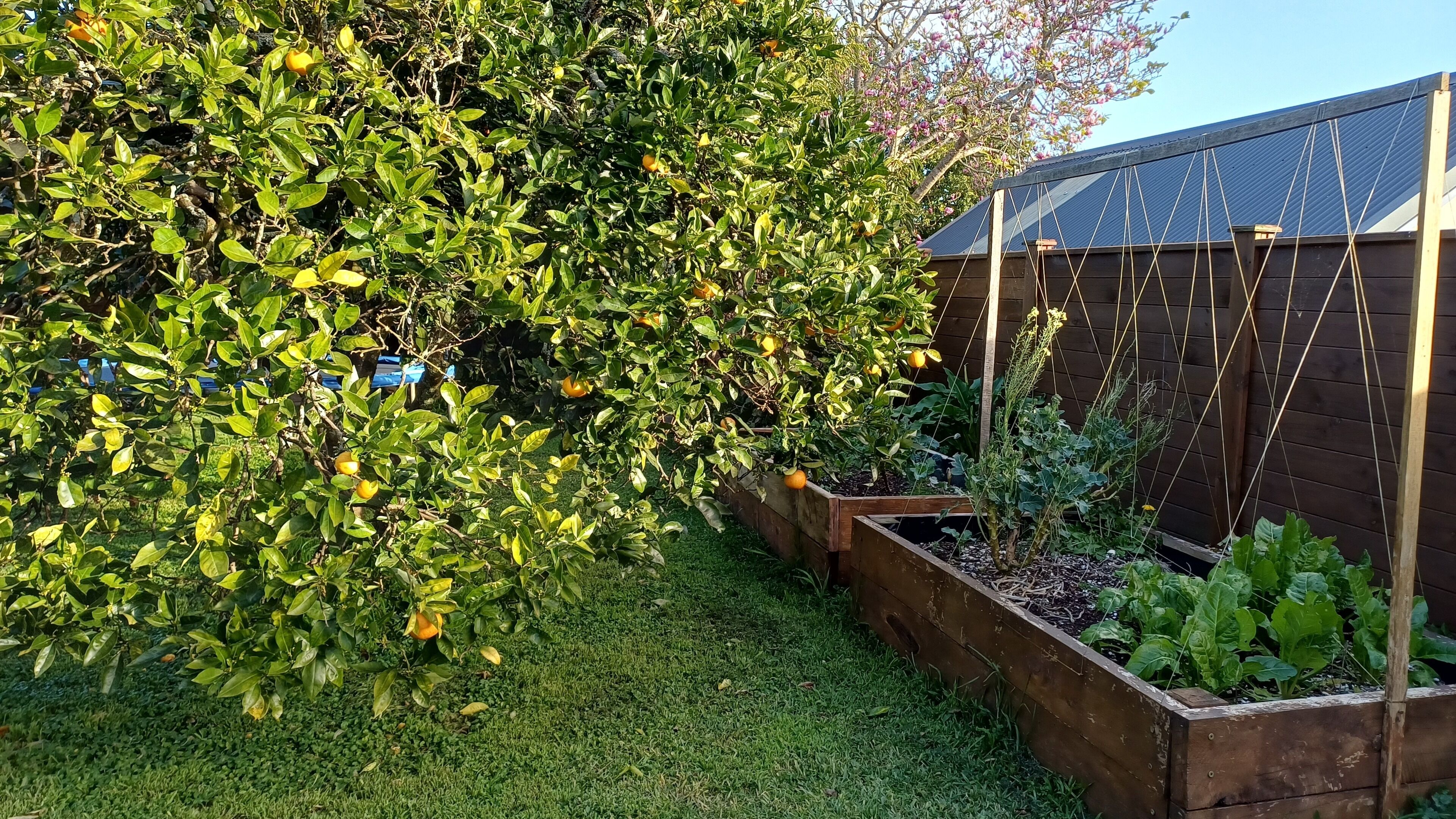 المنطقة المحيطة بالمنشأة