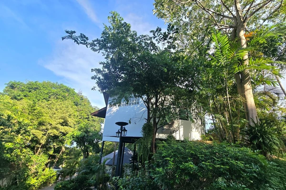 Cottage Deluks, balkon, pemandangan laut terbatas | Pintu masuk interior