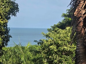 Vista desde la propiedad