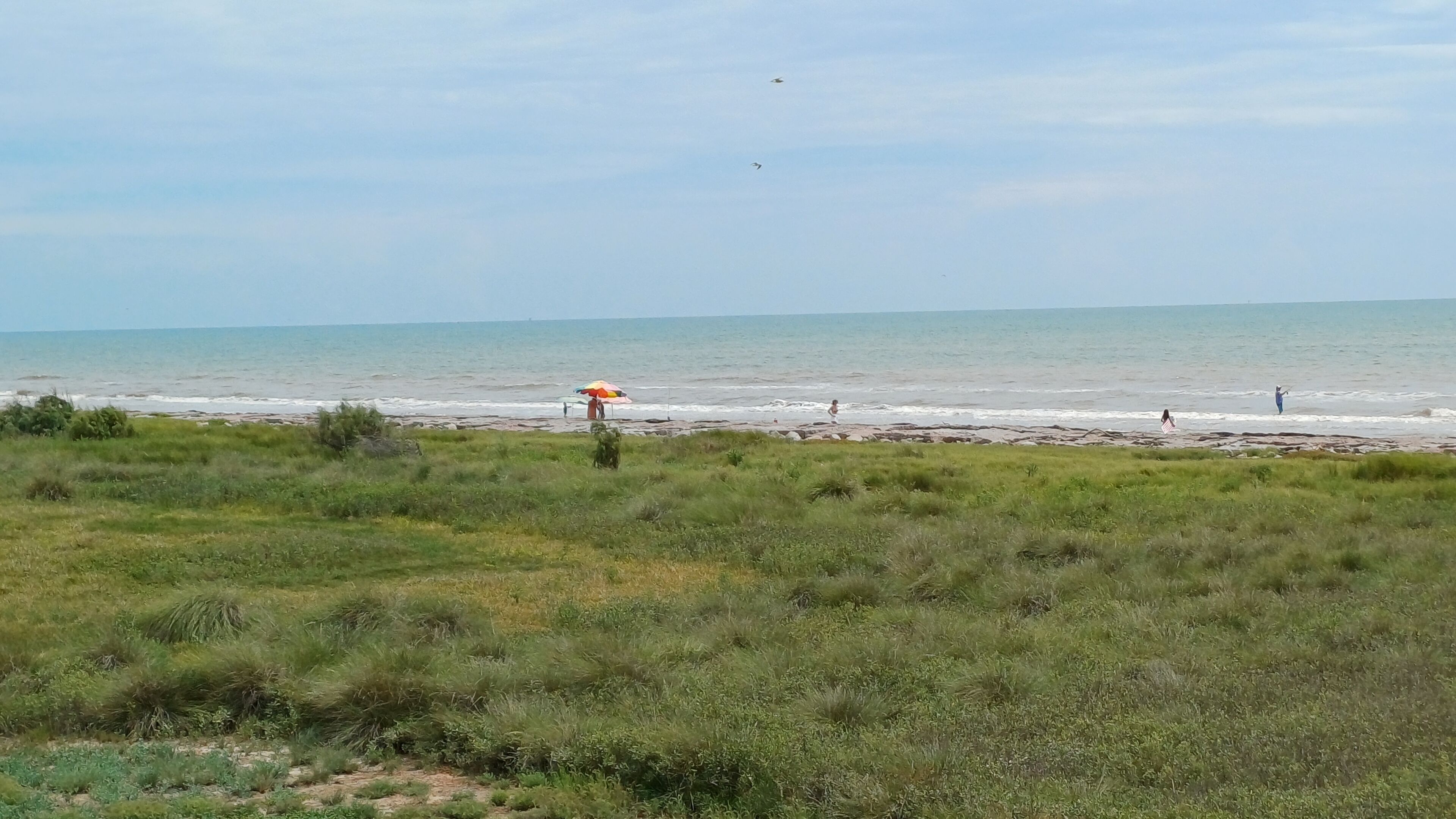 Une plage avec une personne assise sous un parasol, un premier plan verdoyant et l’océan en arrière-plan.