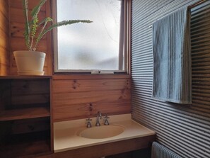 Shower, towels, soap, toilet paper