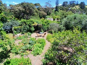 Property grounds - Eco and family friendly cottage near Palm Beach (Waiheke Island)