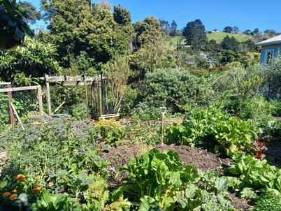 Eco and family friendly cottage near Palm Beach