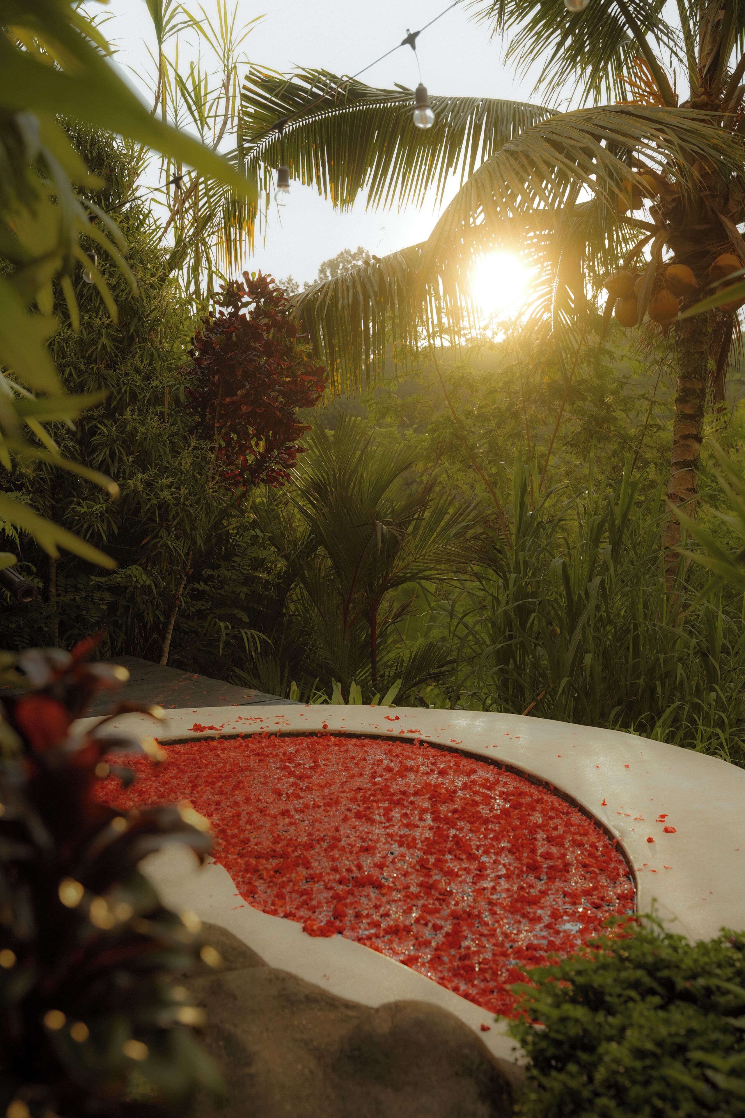 Un jardin avec une zone circulaire recouverte de petits galets rouges, entourée d’une végétation luxuriante et de palmiers.