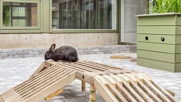 Elite huis, 3 slaapkamers | Terrein van de accommodatie