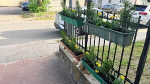 Une vue de rue avec une rangée de jardinières le long d’un trottoir, une voiture garée et un bâtiment en arrière-plan.