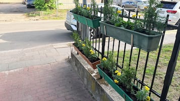 Enceinte de l’hébergement
