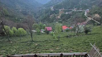 Deluxe Bungalow, Patio, Valley View | Terrace/patio