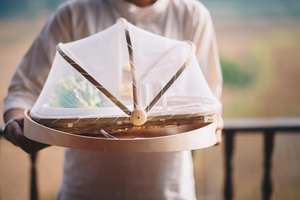 A person holding a woven basket with a conical lid, likely used for carrying food or items outdoors.