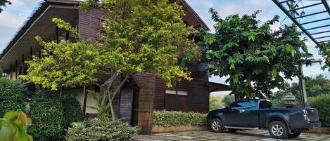 Une maison avec une allée, un camion garé et un grand arbre devant.