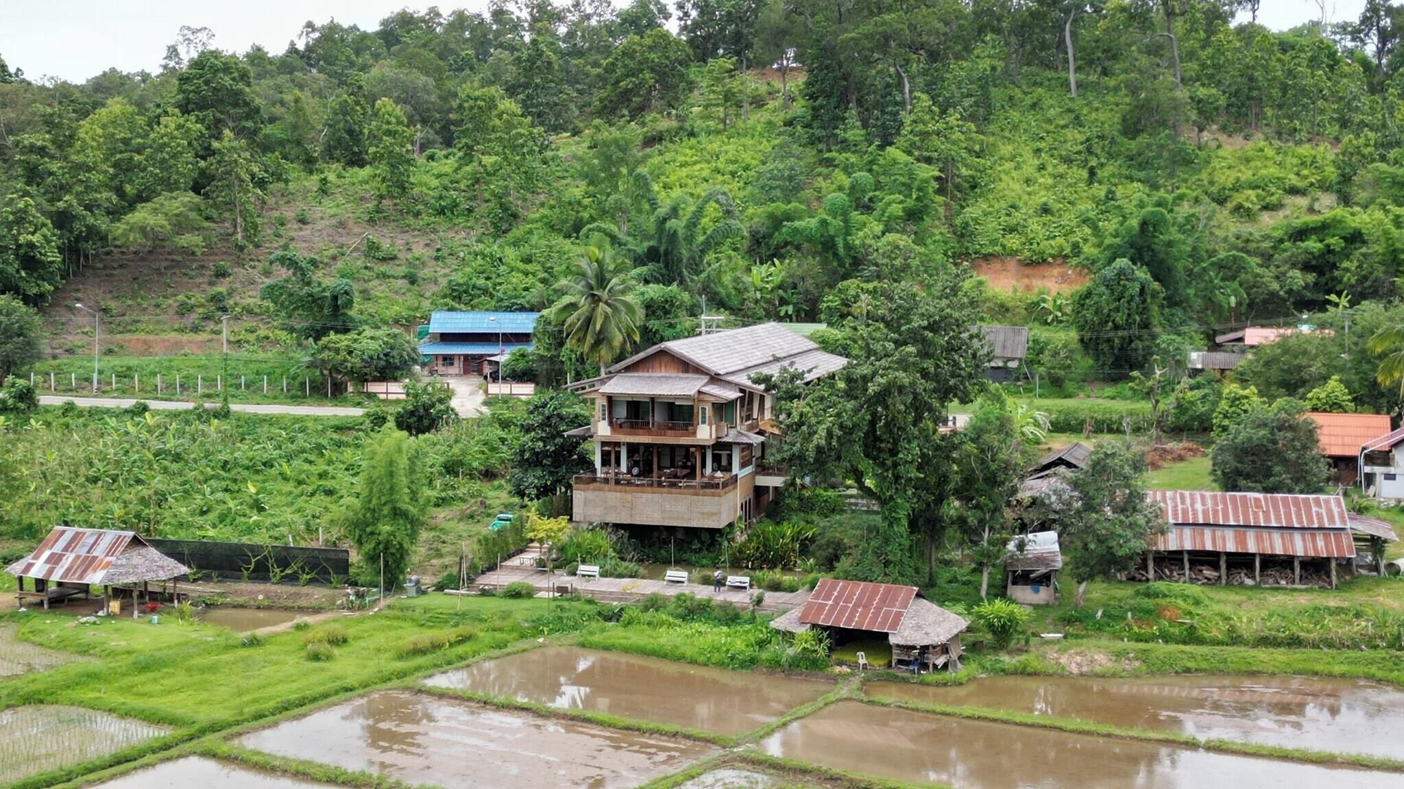 Une maison à deux étages dotée d’un balcon, entourée d’une végétation luxuriante et de rizières.