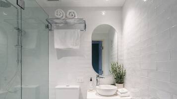 A modern bathroom with a glass shower enclosure, a white toilet, a sink with a bowl, and a mirror.