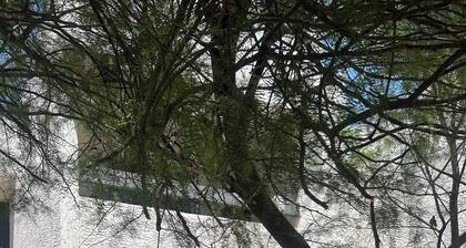 Superb 2-bedroom condo sleeps 4