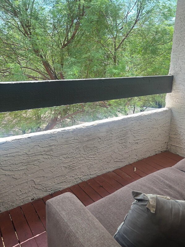 Property grounds - Superb 2-bedroom condo sleeps 6 (Phoenix)