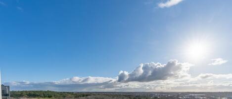 アパートメント | 施設の敷地