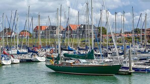 En småbåtshamn med flera segelbåtar förtöjda, omgiven av bostadshus.