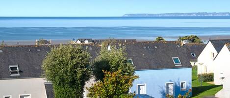 單棟房屋 | 外觀