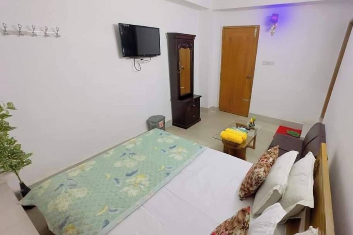 A bedroom with a bed, a TV, a wardrobe, a door, and a small table with a plant.