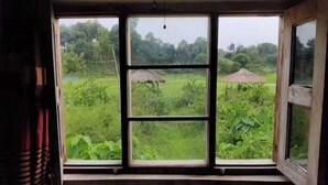 Una habitación con un ventanal grande que da a un paisaje verde y exuberante.