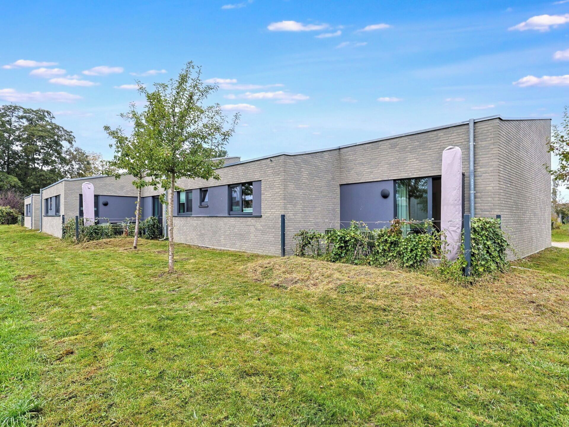 Strauch, Zuhause, Grundstueck, Ground, Garten, Estate, Rasen, Landscaping, Garten, Hinterhof