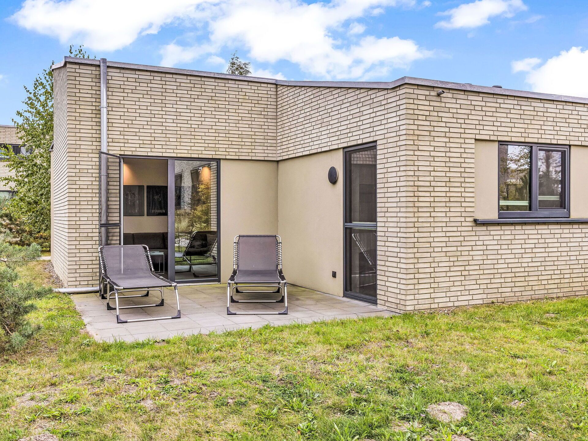 Einfrieren, Winter, Schnee, Lärche