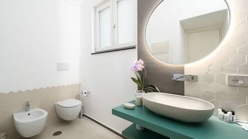 Shower, hair dryer, bidet, towels