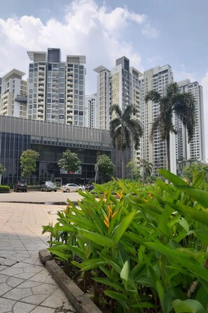 منطقة الاستقبال