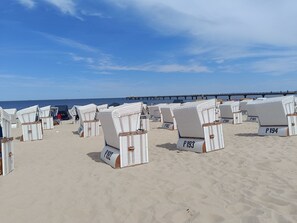 File di sedie da spiaggia in vimini bianco con cartelli numerati su una spiaggia sabbiosa, un molo sullo sfondo e un cielo azzurro limpido.