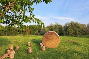 Unclassified image, 3 of 19, button - La Tortorella Farm Stay (Grosseto)