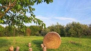 Une bûche dans un champ herbeux, avec des arbres en arrière-plan.