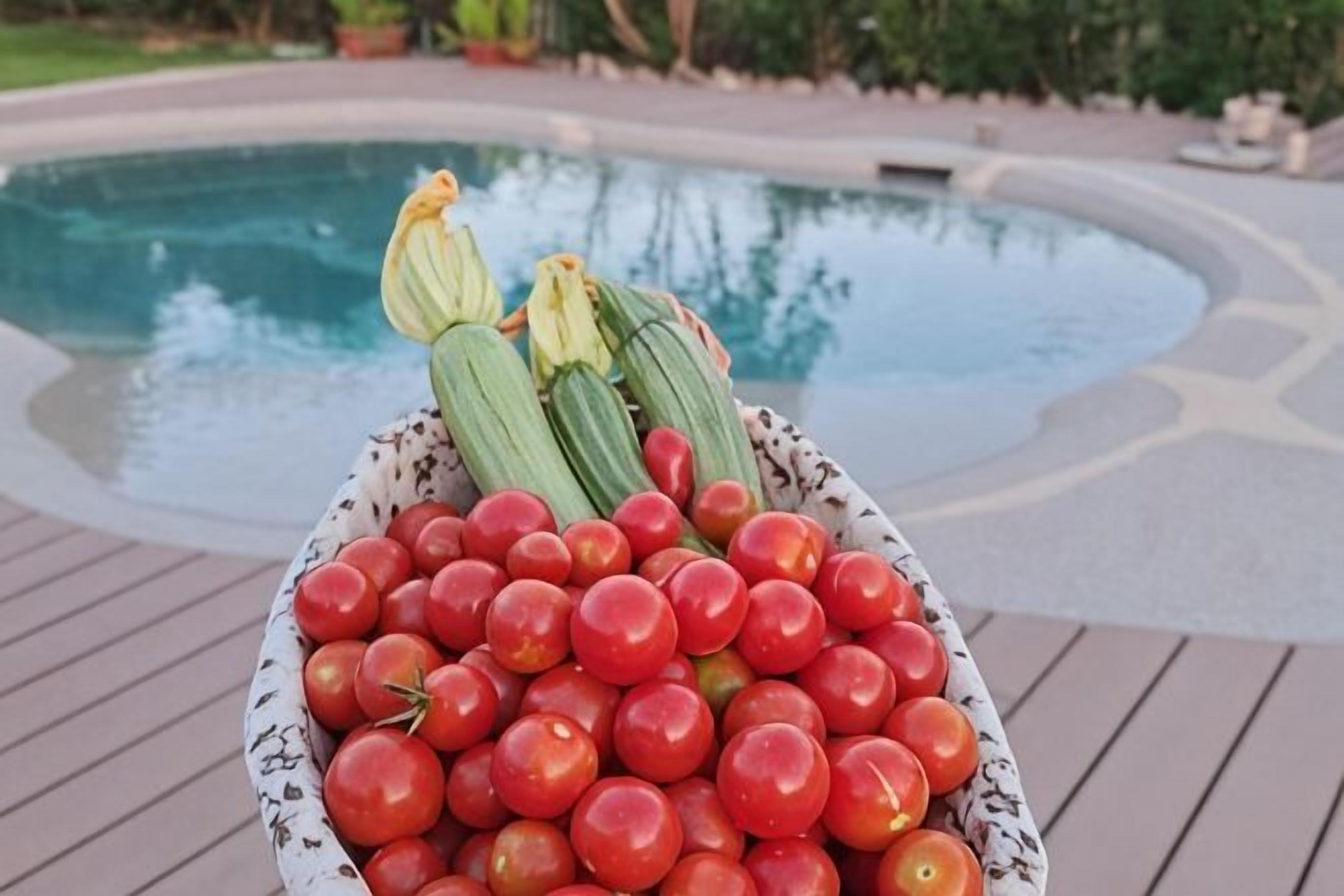 Un tazón de tomates y calabacines sobre una terraza de madera junto a una piscina.