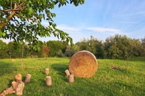 المنطقة المحيطة بالمنشأة