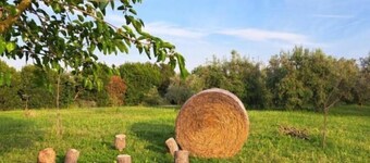 La Tortorella Farm Stay