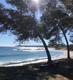 Ein Strand mit Bäumen, einer Bank und Blick aufs Meer.