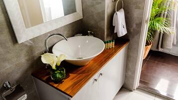 Regadera, secadora de cabello, toallas, jabón