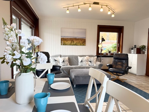 Fernseher, Stereoanlage