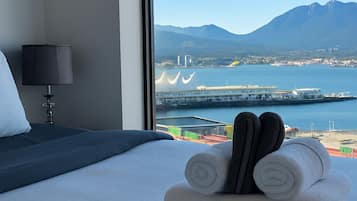 Ferros/tábuas de passar roupa, Wi-Fi de cortesia, roupa de cama