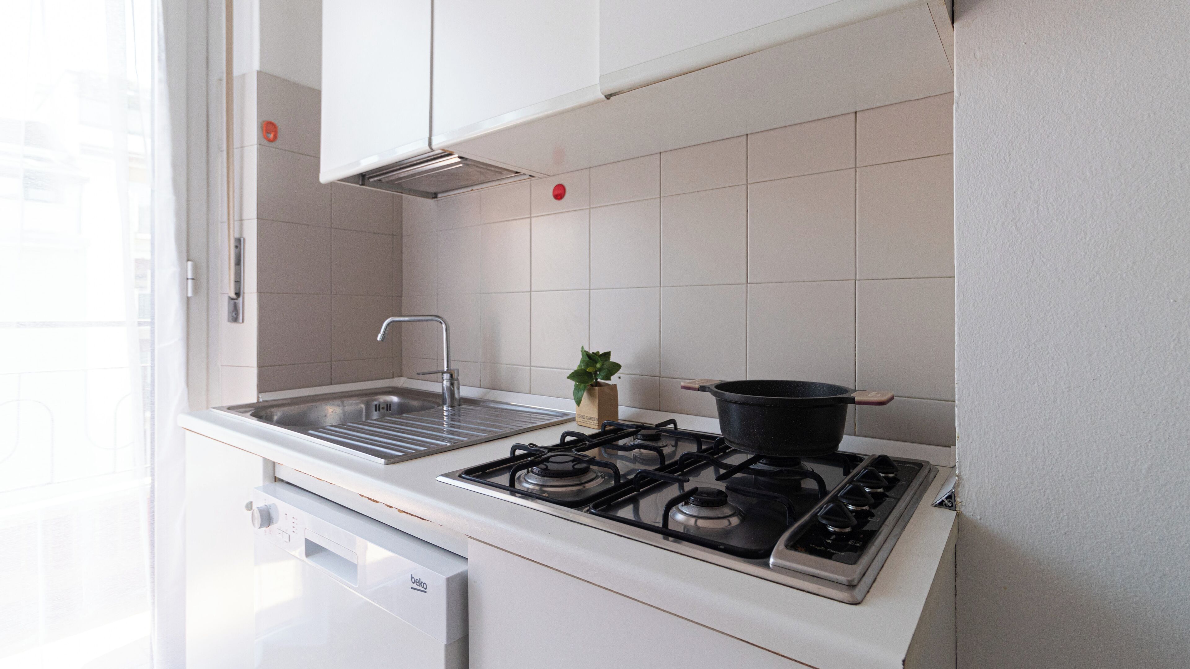 A modern kitchen with a gas stove, a sink, and a small plant on the counter.