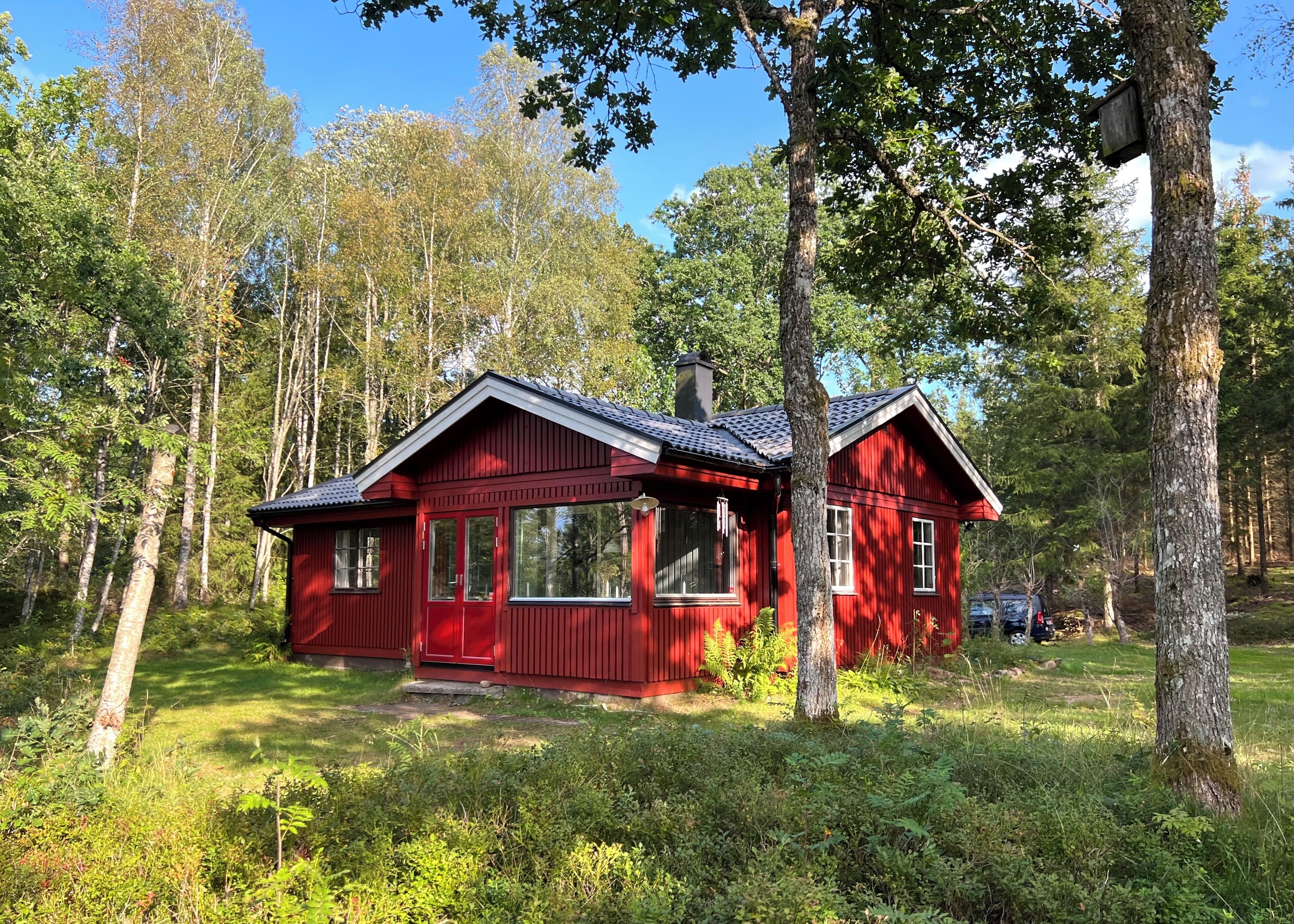 Eksteriør