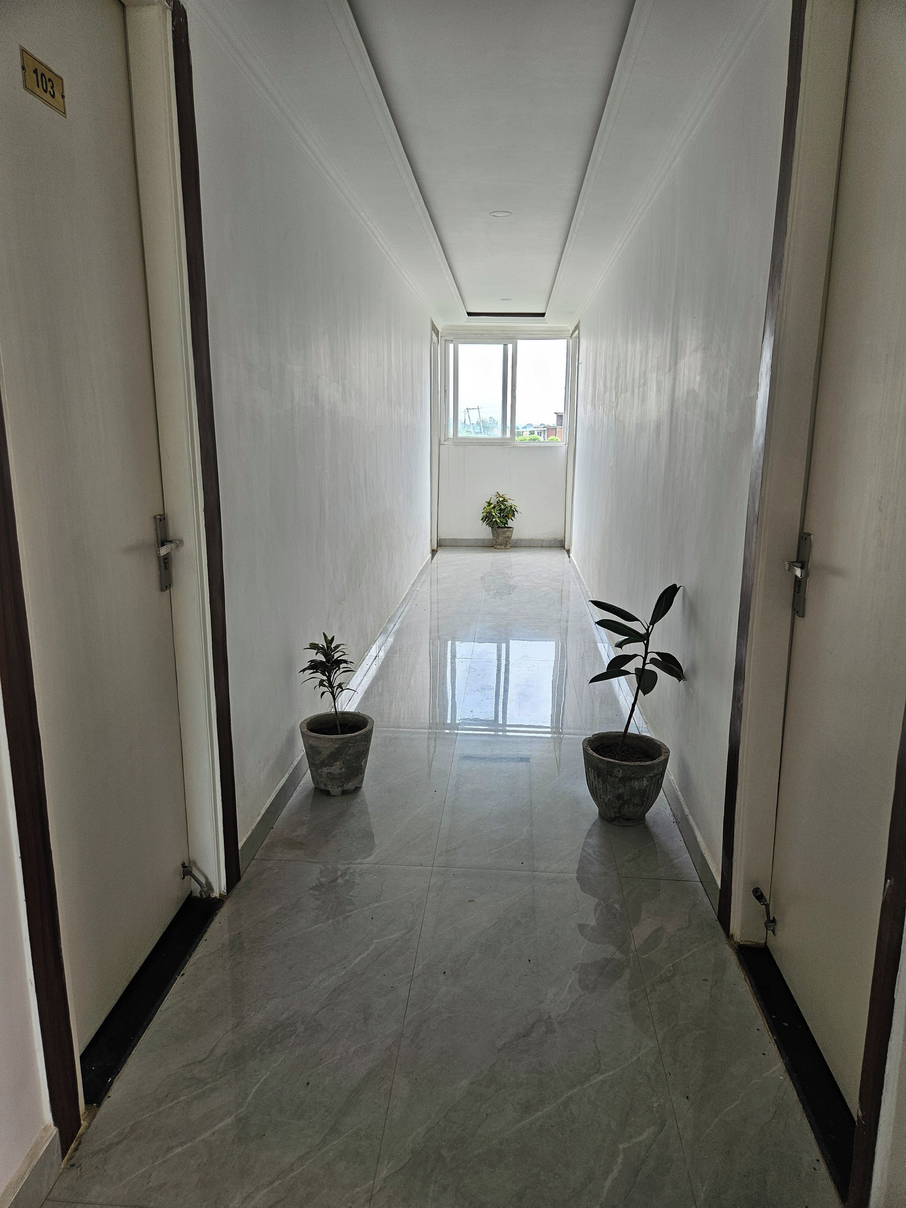 A corridor with two potted plants, a window at the end, and a door on the left.