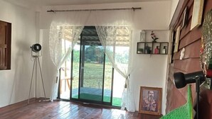 Une pièce avec un plancher en bois, une porte-fenêtre coulissante donnant sur un jardin, un trépied et un tableau encadré accroché au mur.