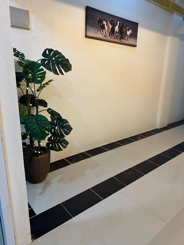 Interior - LimeTree Loft Guesthouse (Patong)