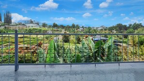 Vue depuis un balcon doté d’une rambarde en métal, donnant sur un jardin où poussent différentes plantes et sur un bâtiment éloigné, avec de nombreuses fenêtres.