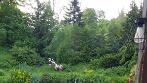A pond with yellow flowers and a wooden deck.