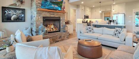 Télévision, cheminée, lecteur de DVD, chaîne hi-fi