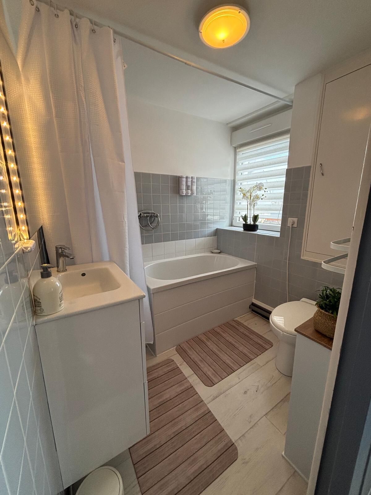 Hair dryer, towels, toilet paper