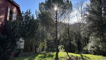 Áreas de la propiedad