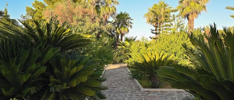 Parco della struttura