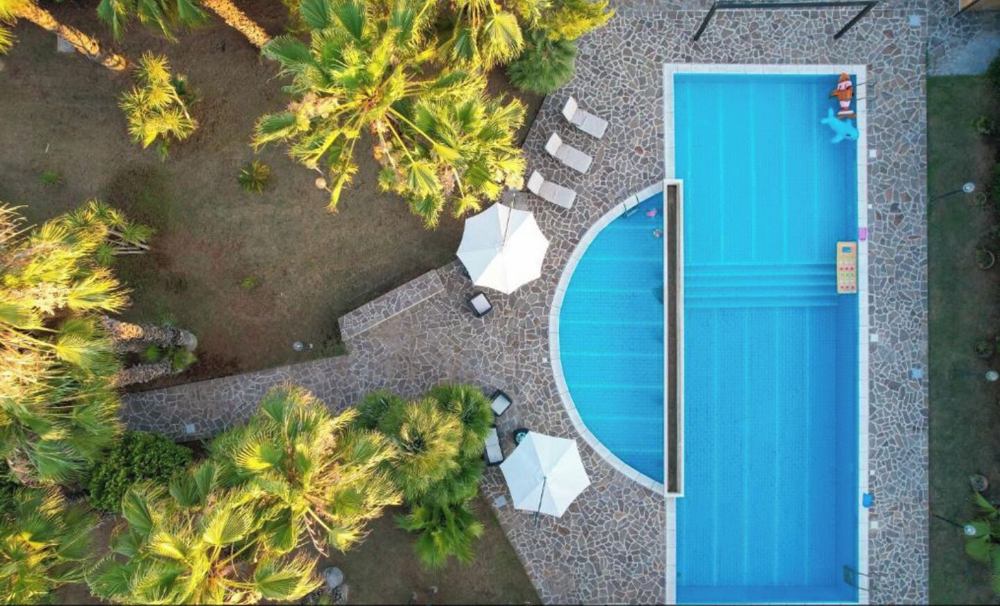 Vue aérienne d’une piscine entourée de palmiers, avec des chaises longues et des parasols.